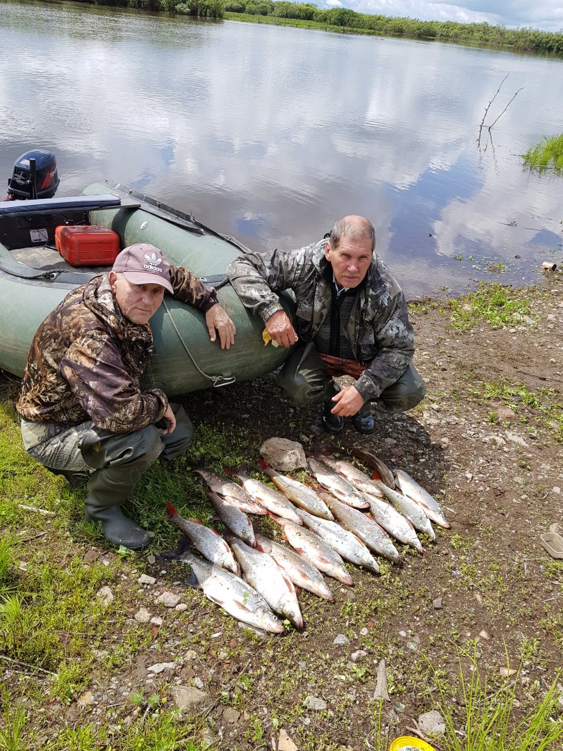 20190601_121641.jpg
