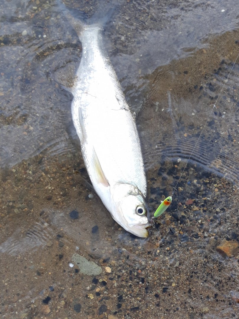 20190601_173643.jpg