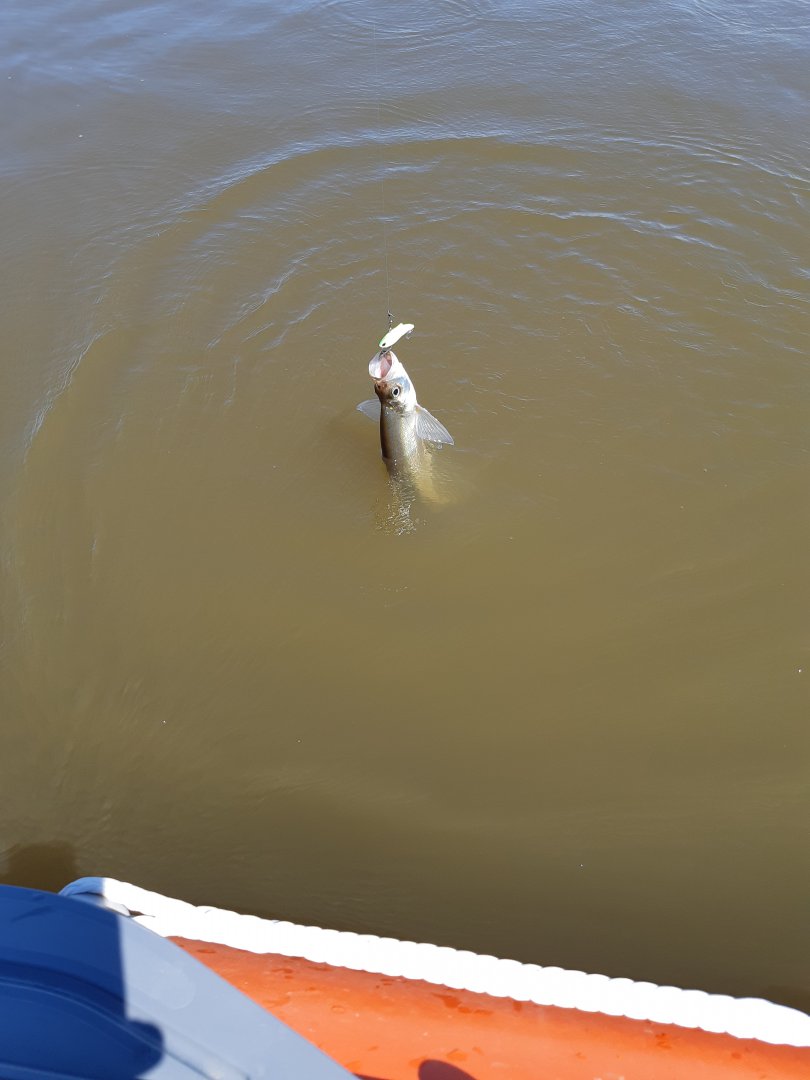 20190604_142029.jpg