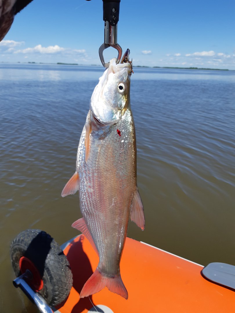 20190604_144539.jpg