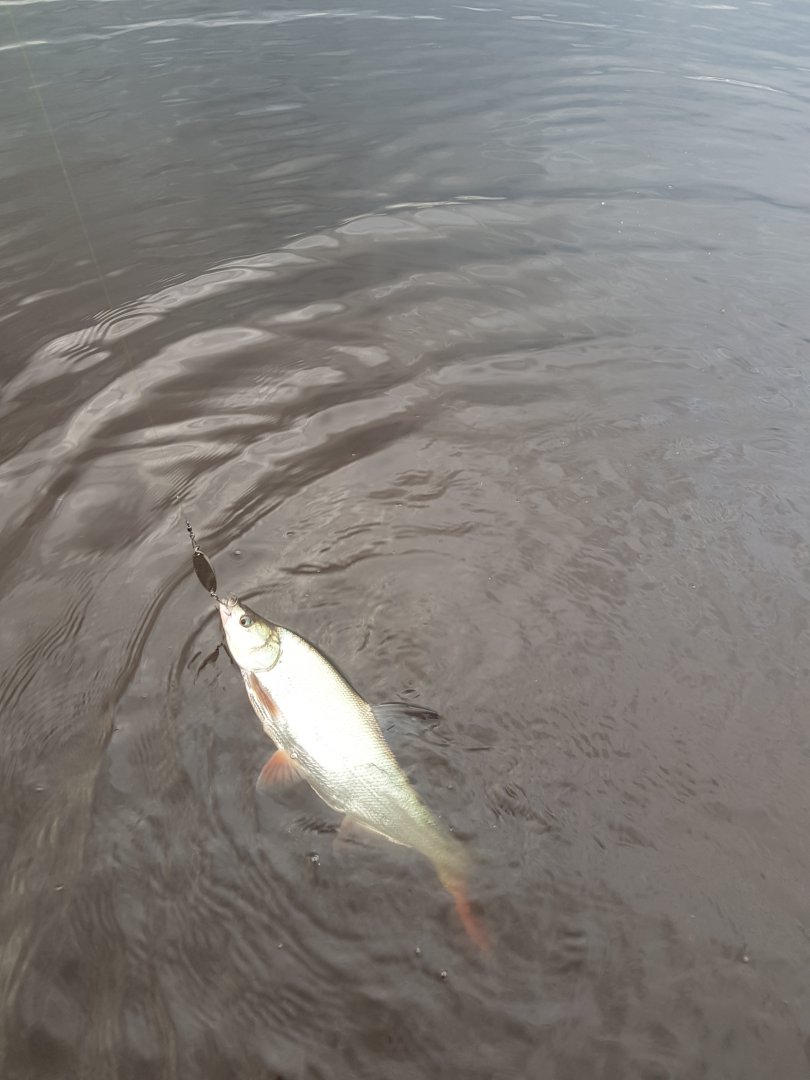 20190608_060543.jpg