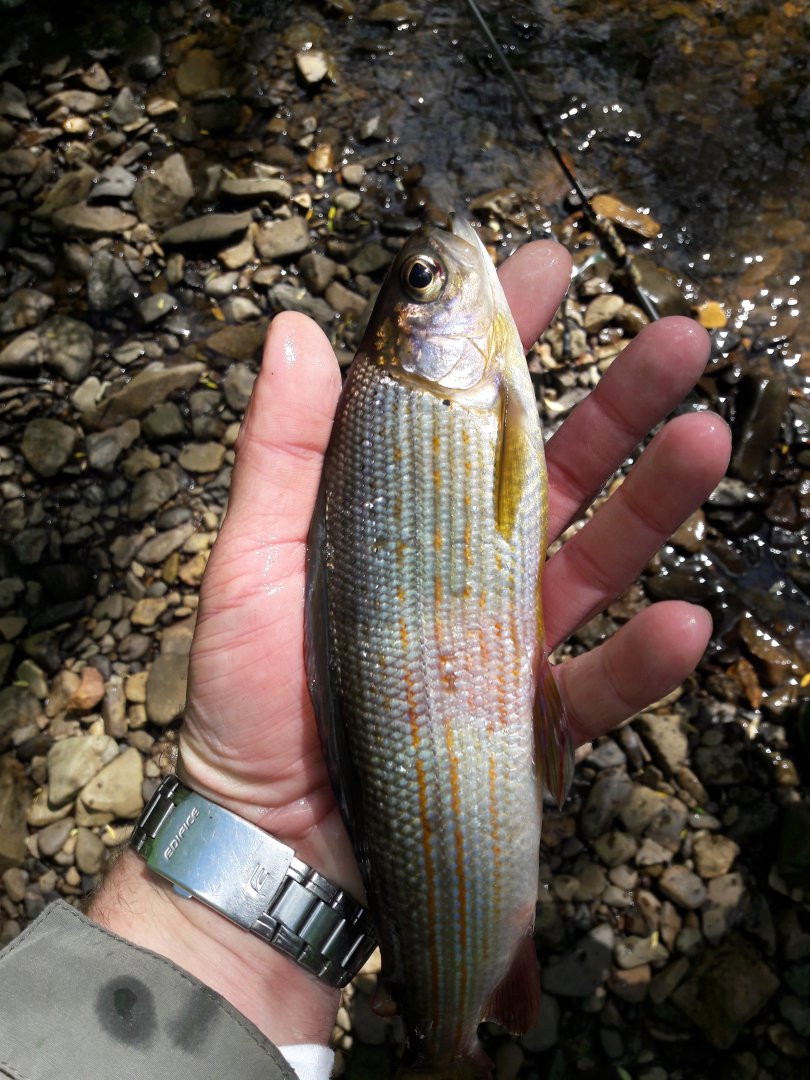 20190608_143425.jpg