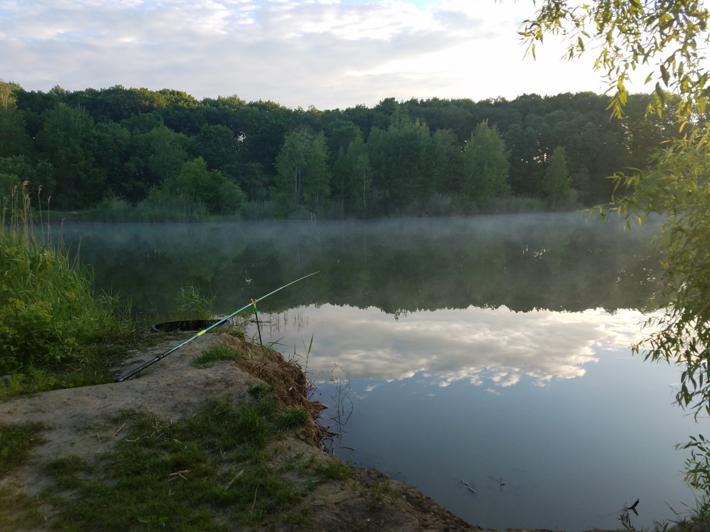 20190622_055053.jpg