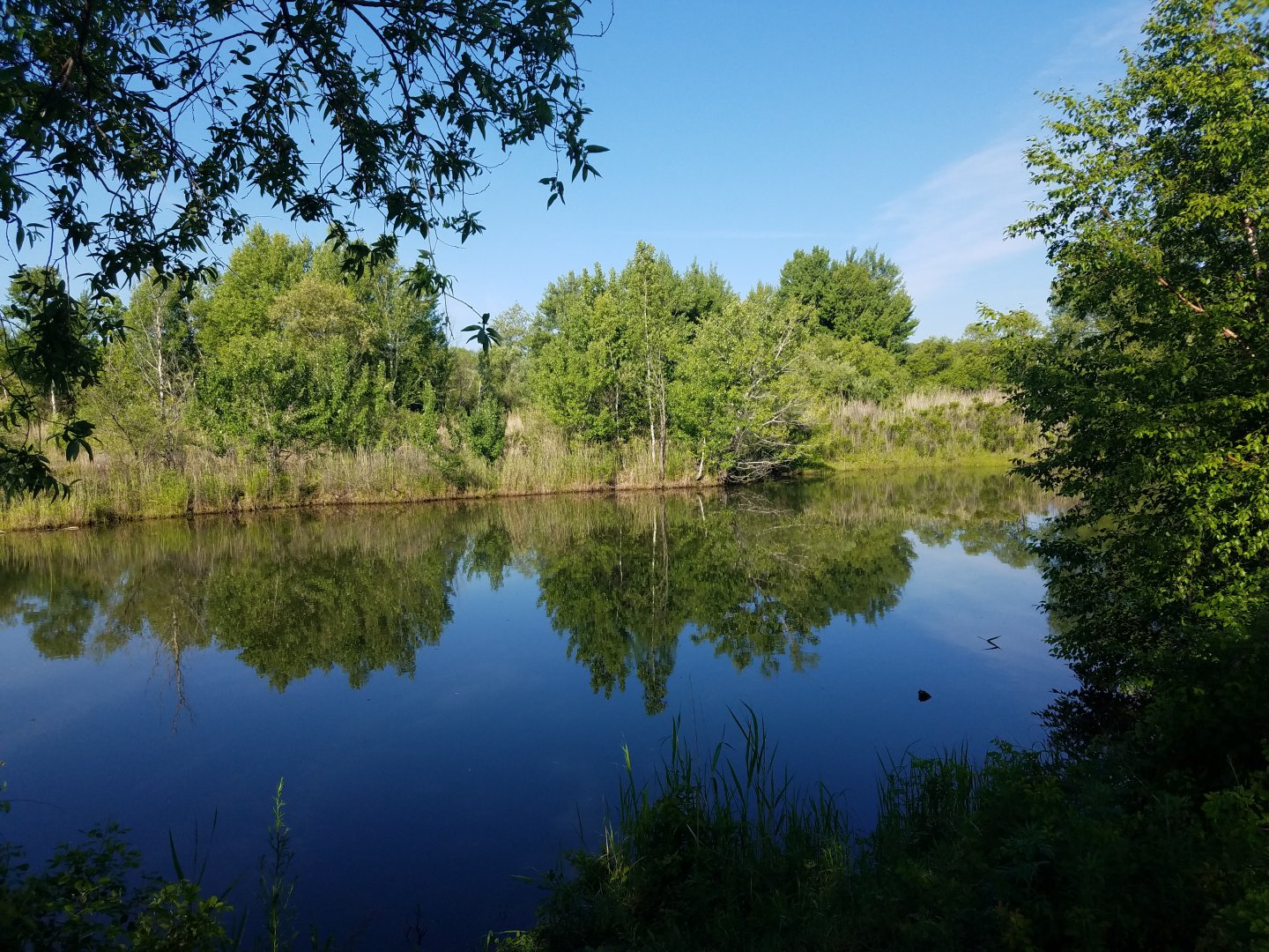 20190622_080740.jpg