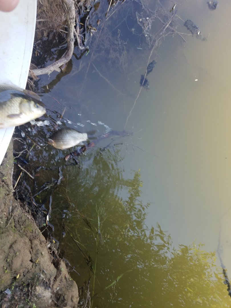 20190622_101038.jpg