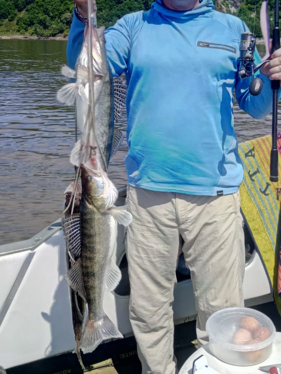 20190623_231825.jpg