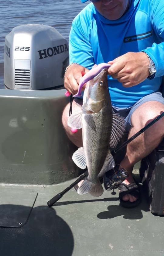 20190623_232036.jpg
