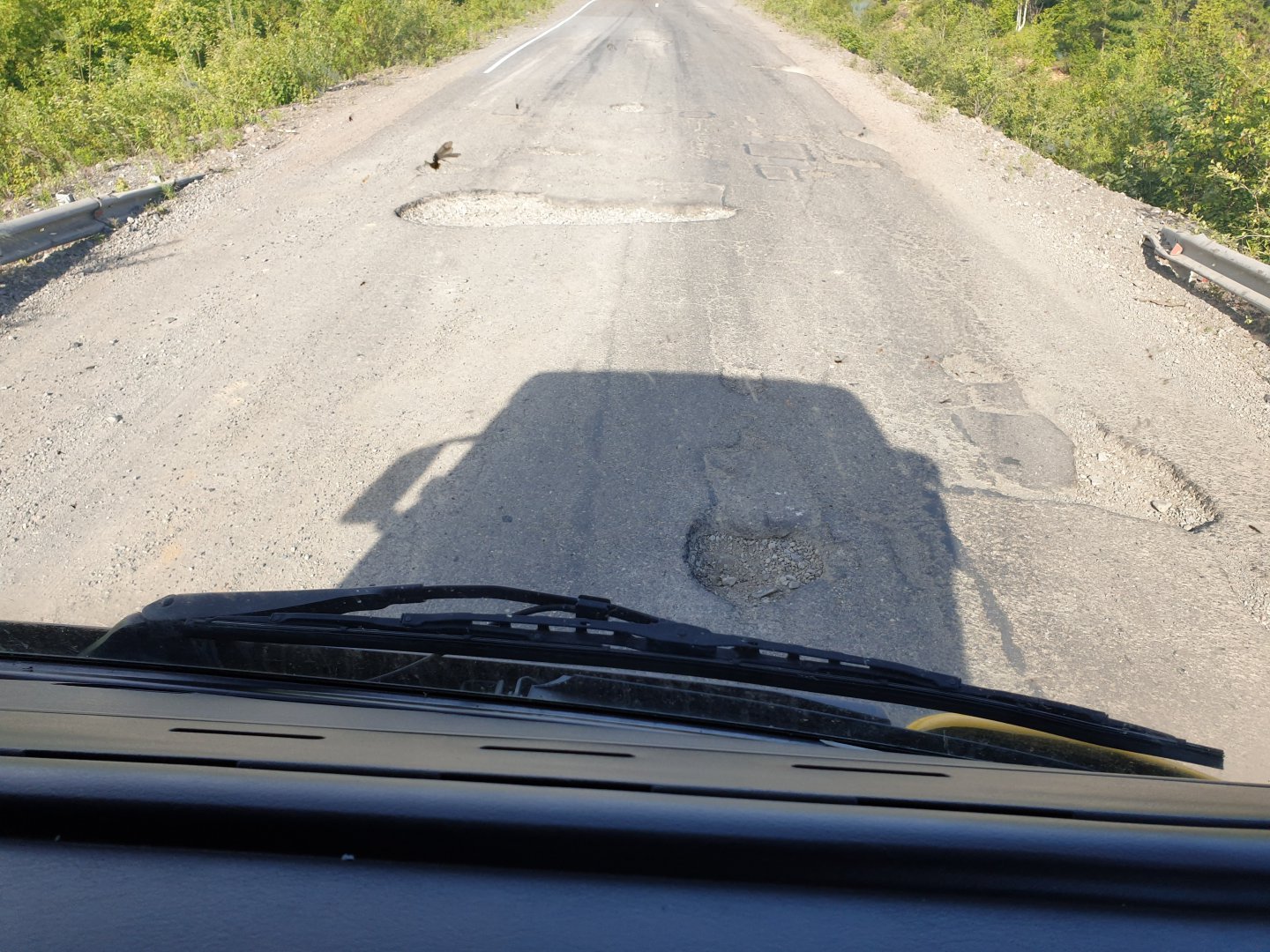 20190629_074034.jpg