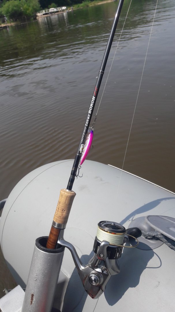 20190708_114952.jpg