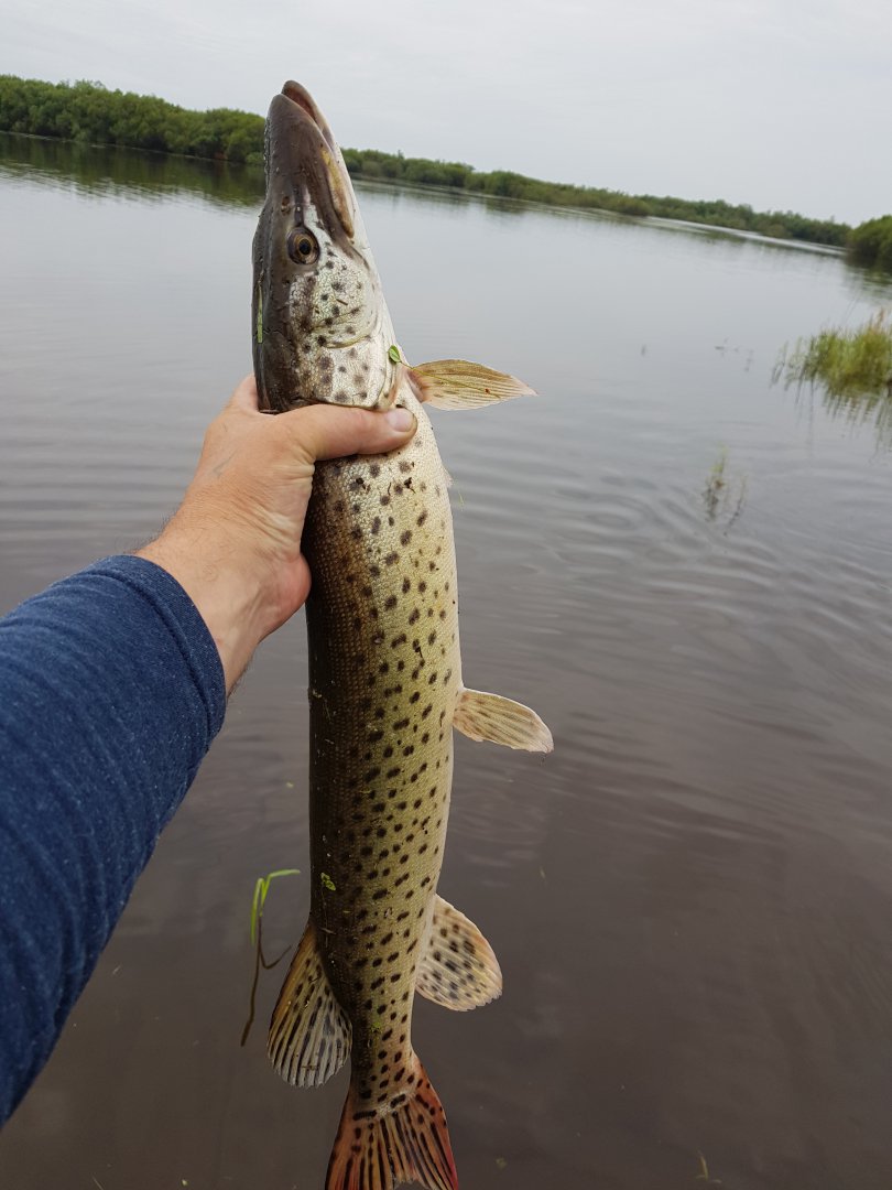 20190714_063203.jpg