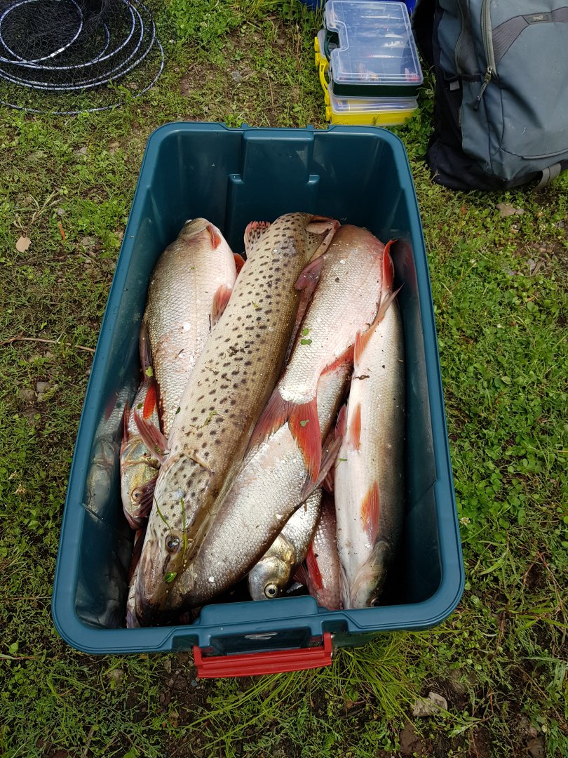 20190714_123144.jpg