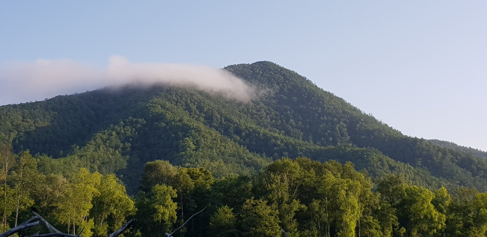 20190720_185325.jpg