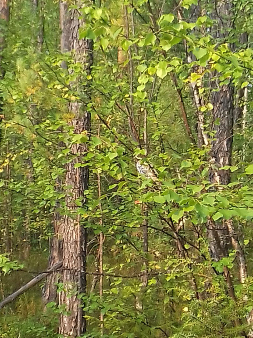 20190809_173956.jpg