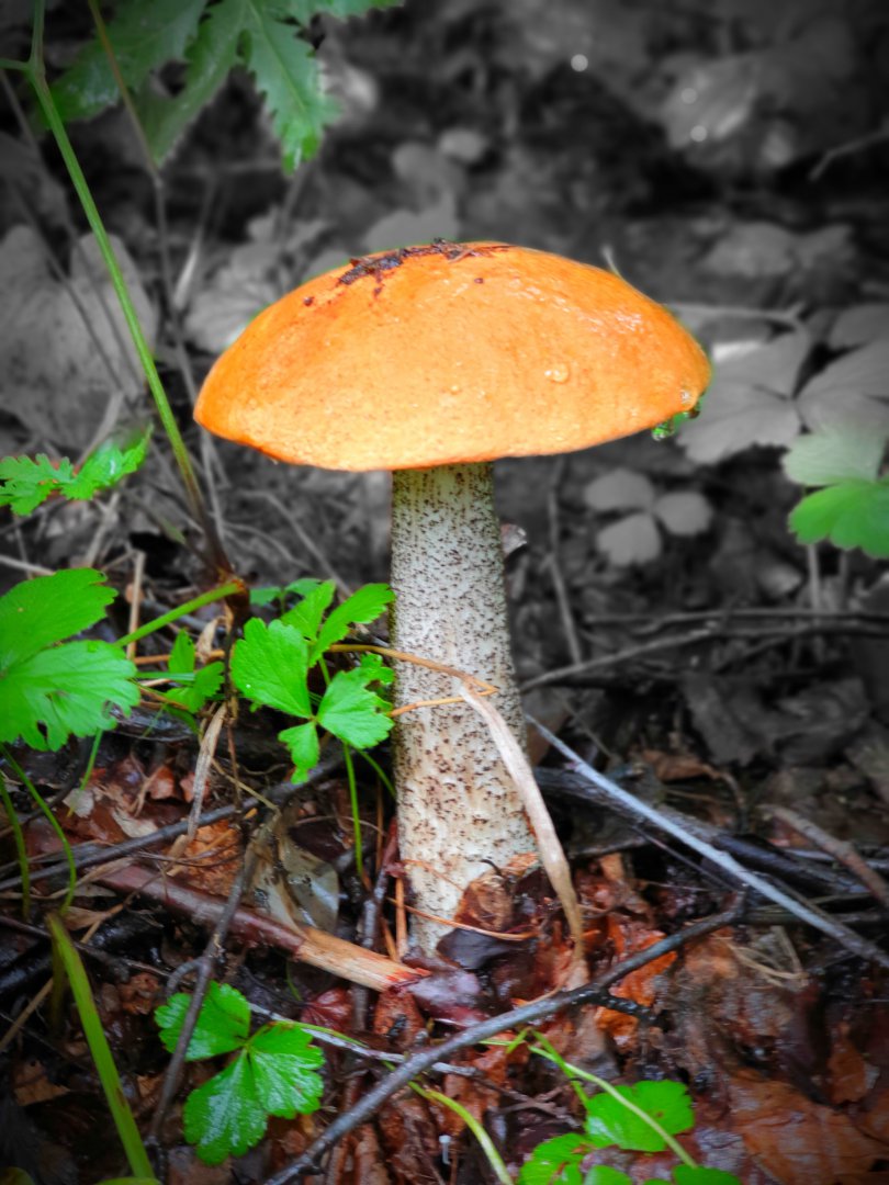 20190824_215753.jpg