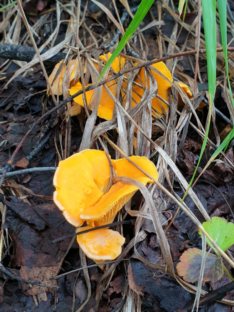 20190824_215814.jpg