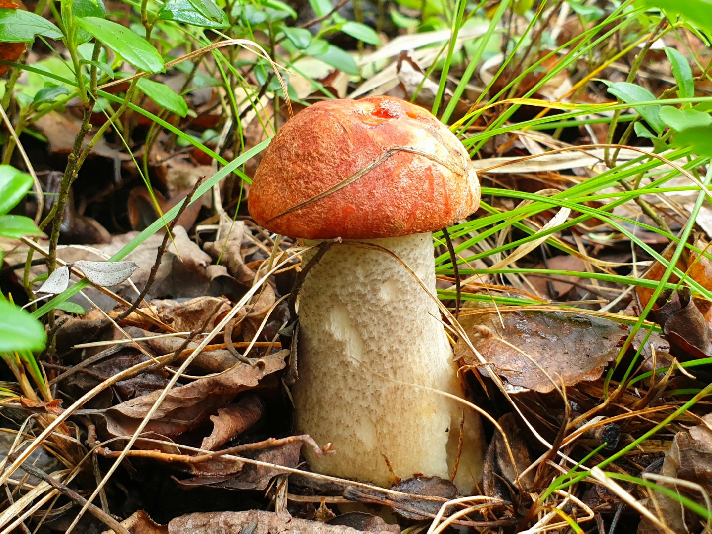 20190824_215854.jpg