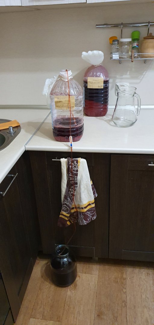 20190829_202321.jpg
