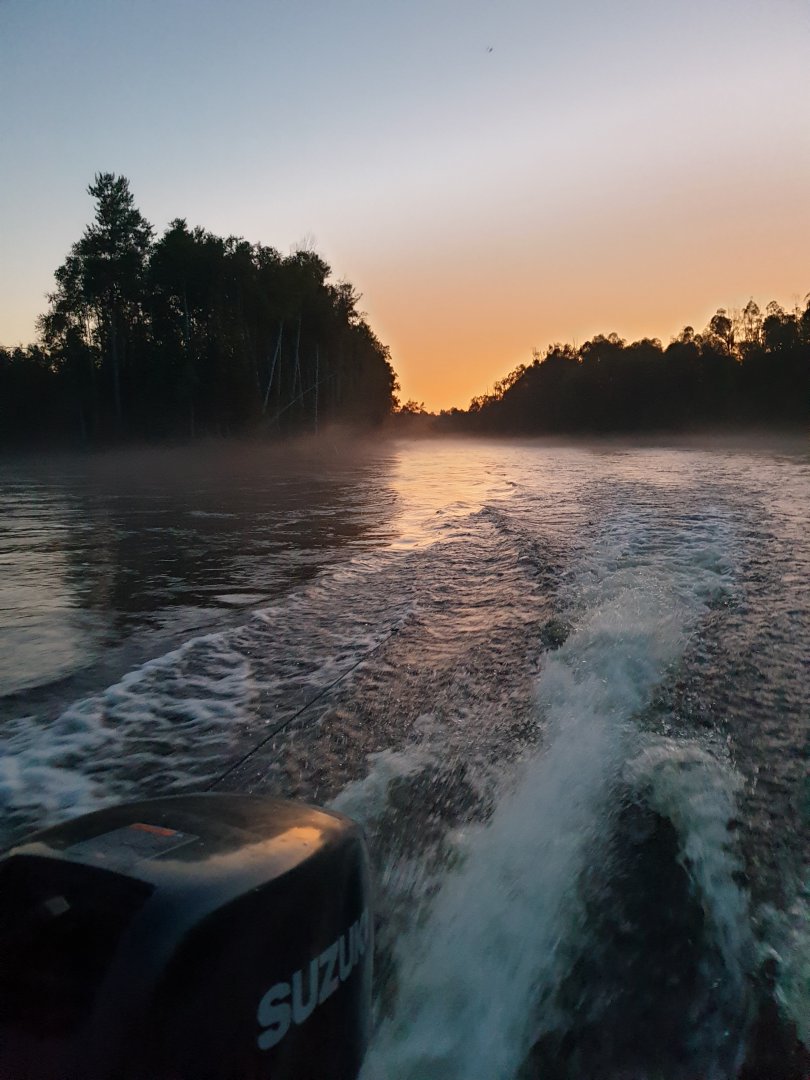 20190906_194255 (1).jpg