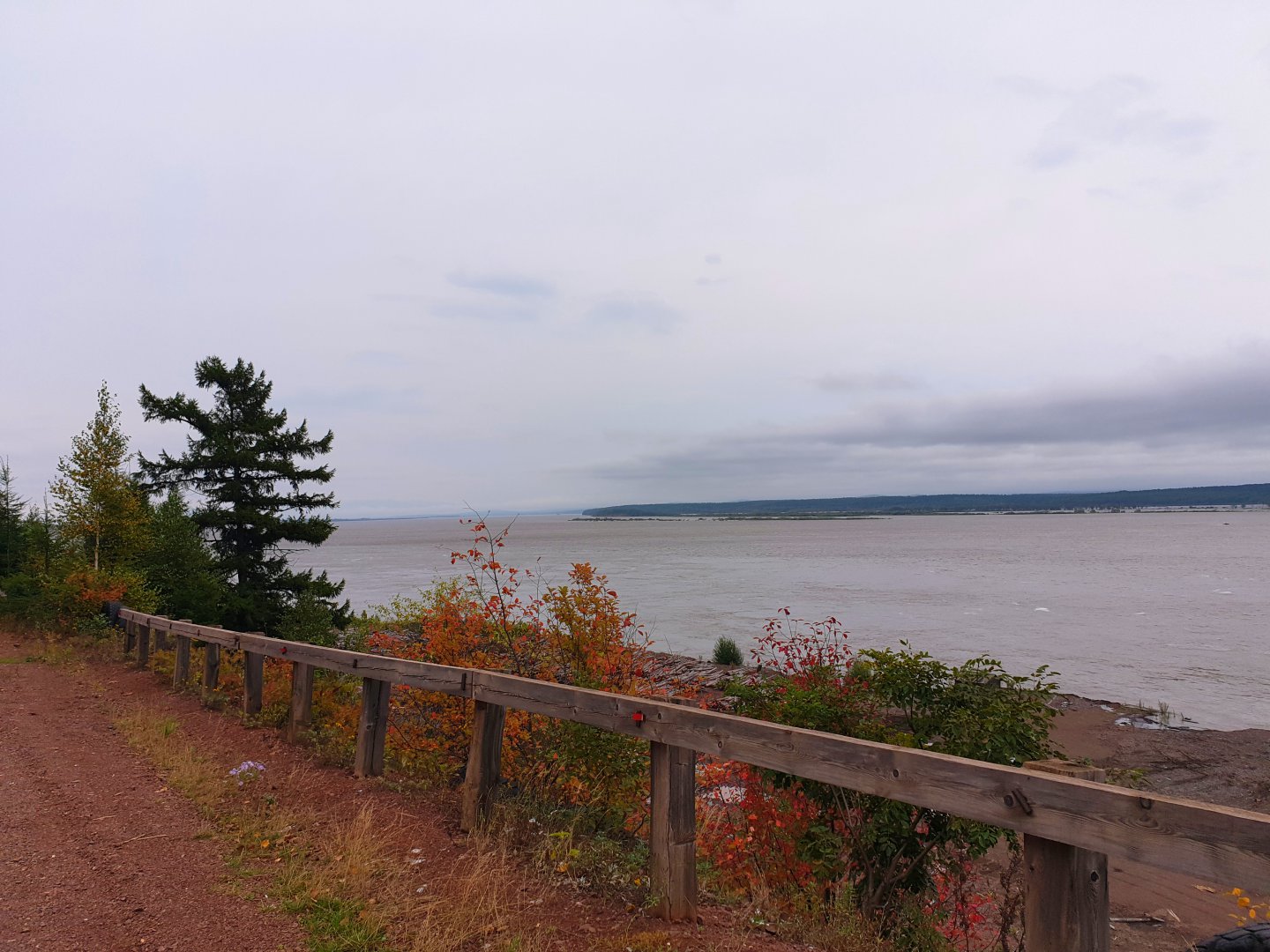 20190908_123657.jpg