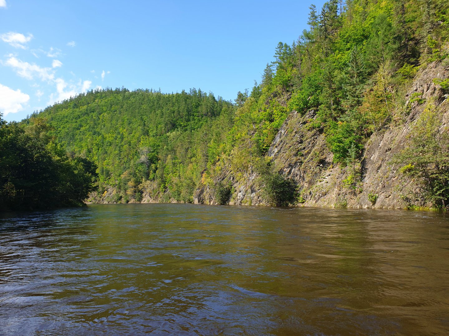 20190908_124839.jpg