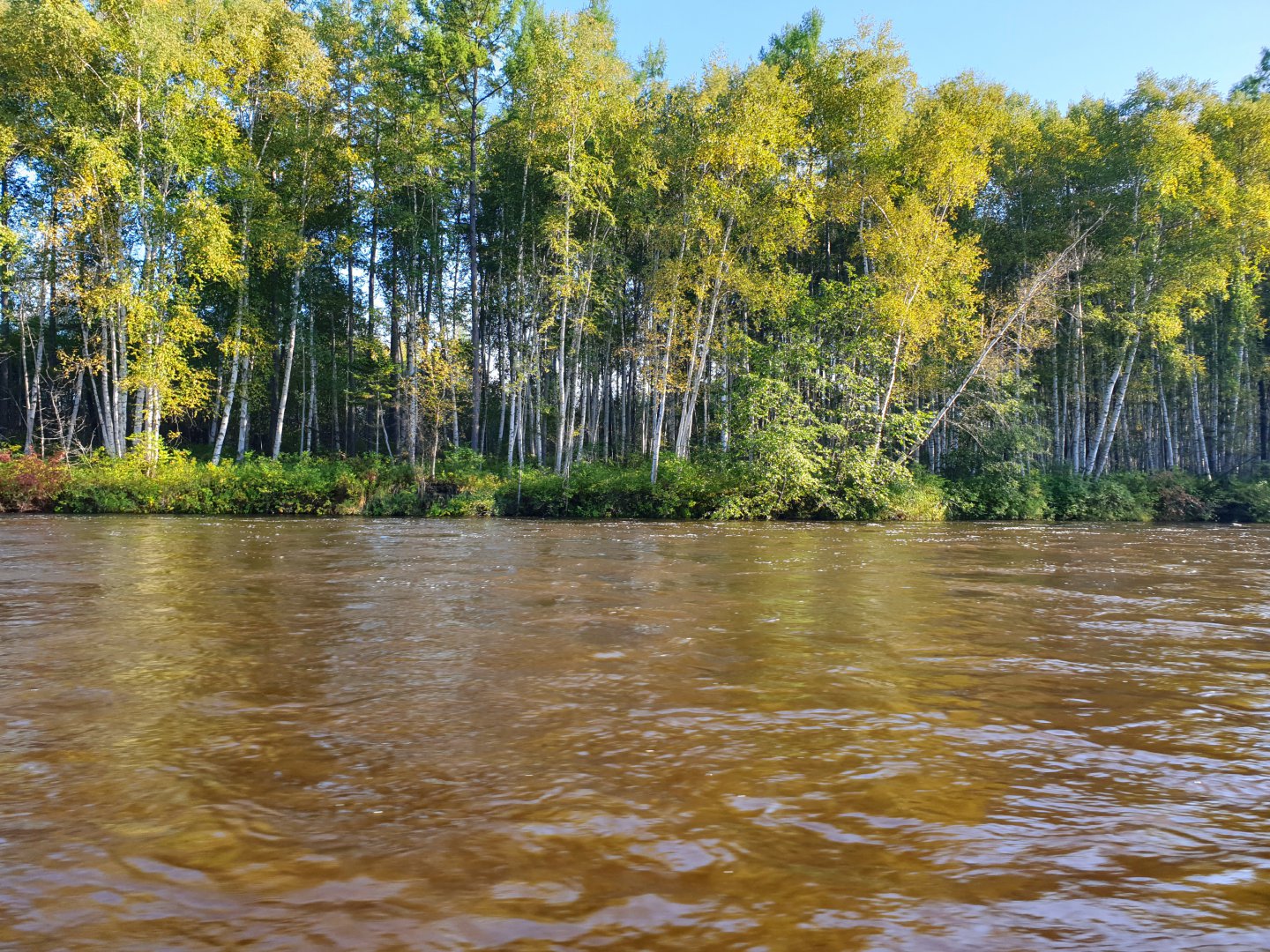 20190908_125056.jpg