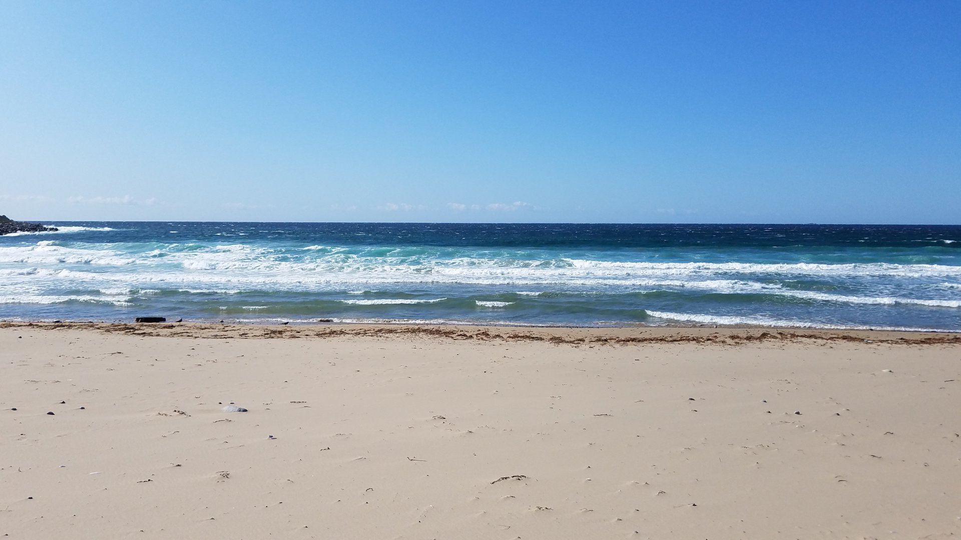 20190919_102759.jpg