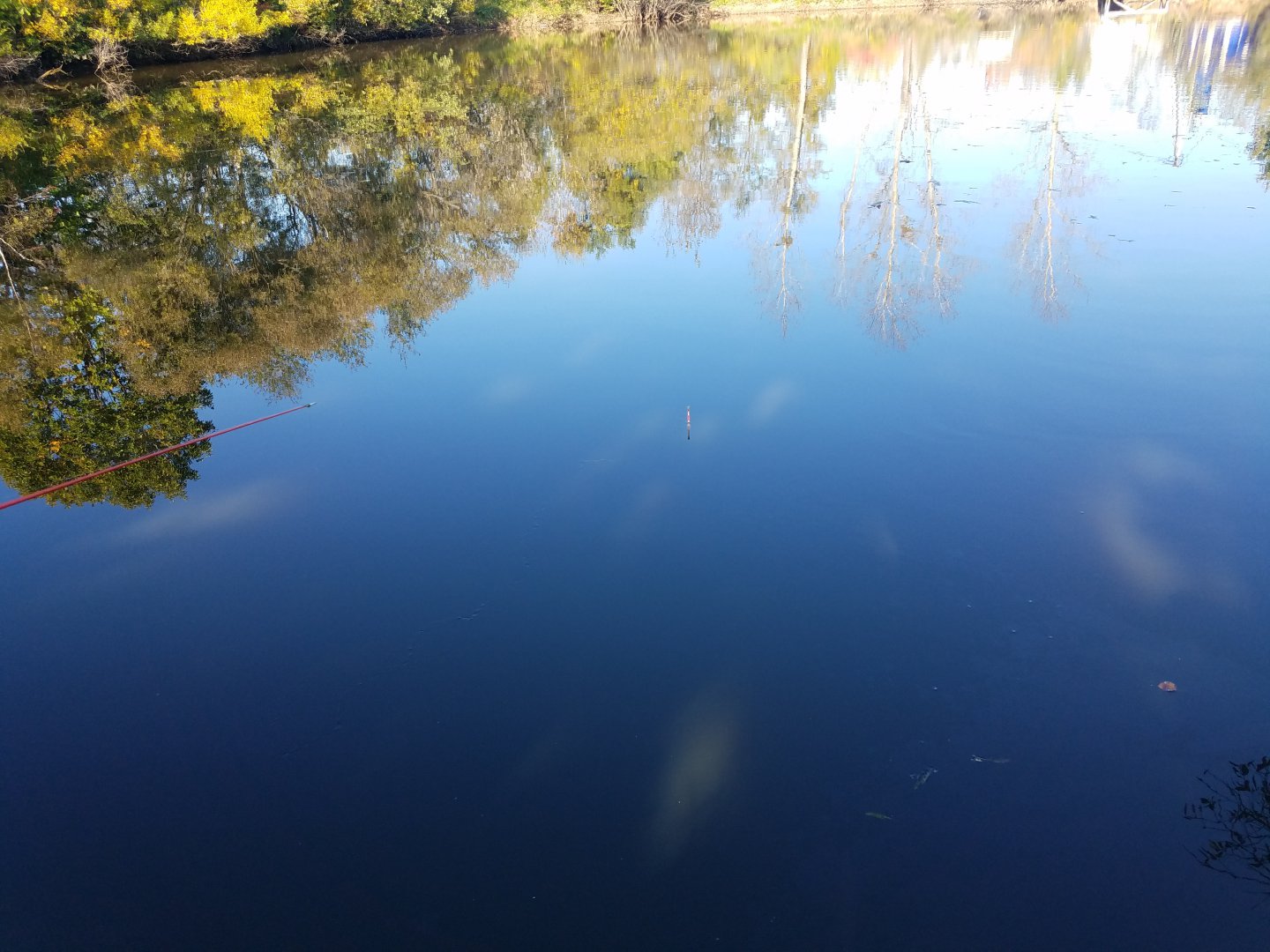 20190926_092353.jpg