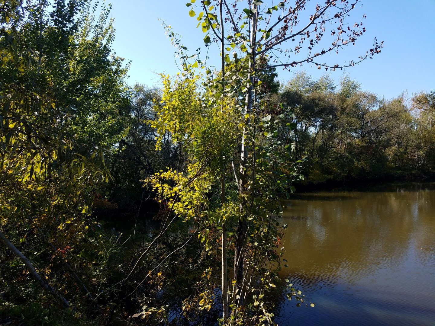 20190926_133722.jpg