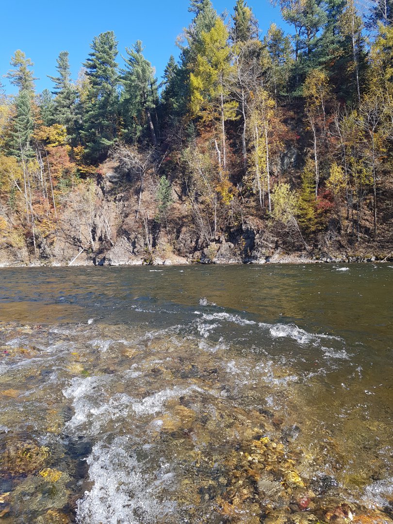 20190927_101053.jpg