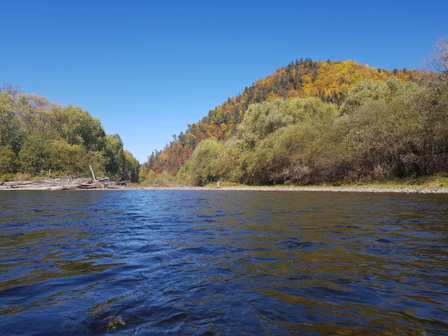 20190927_105106.jpg