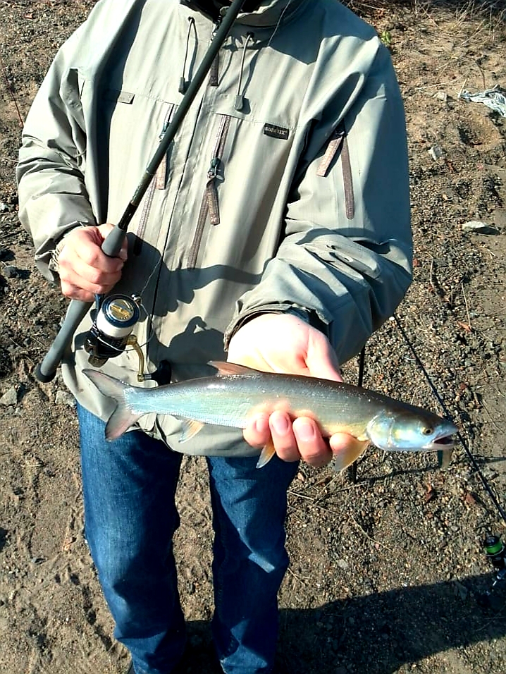 20190928_143753.jpg