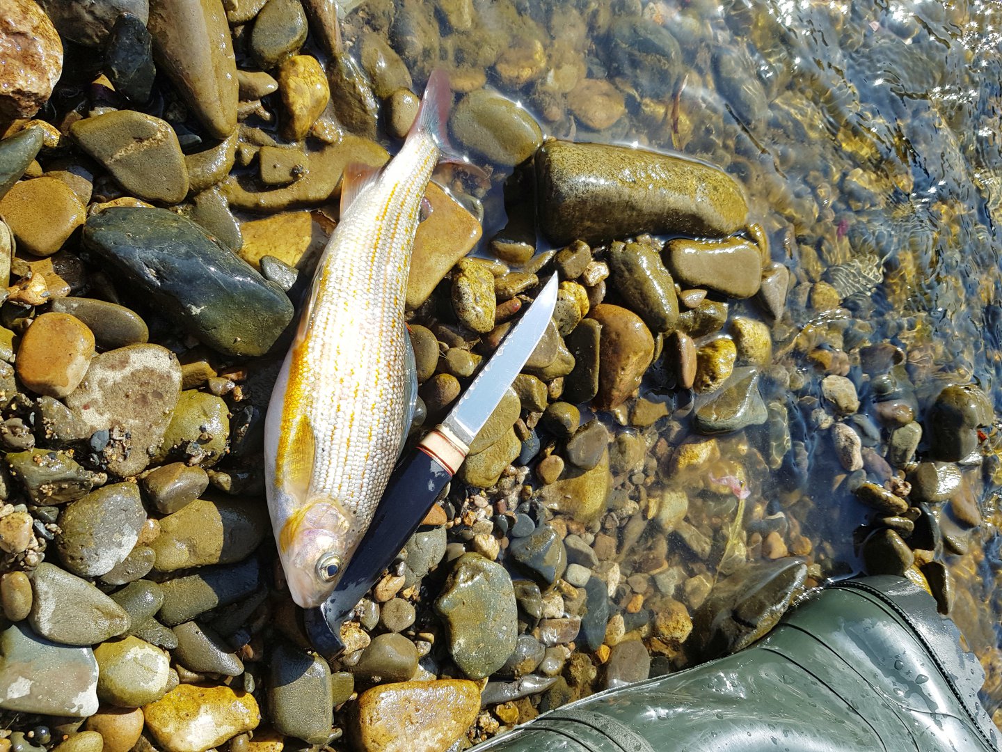20190928_220701.jpg