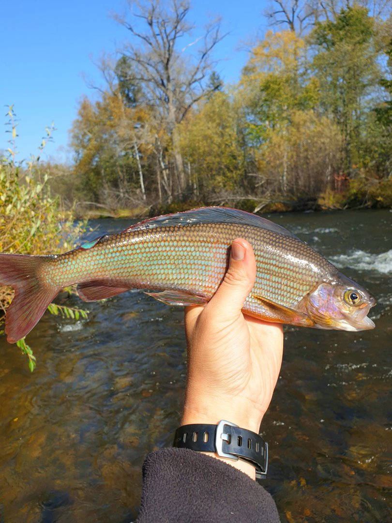 20190929_213353.jpg