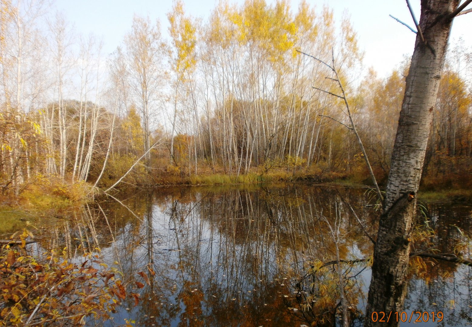 20191002 1.JPG