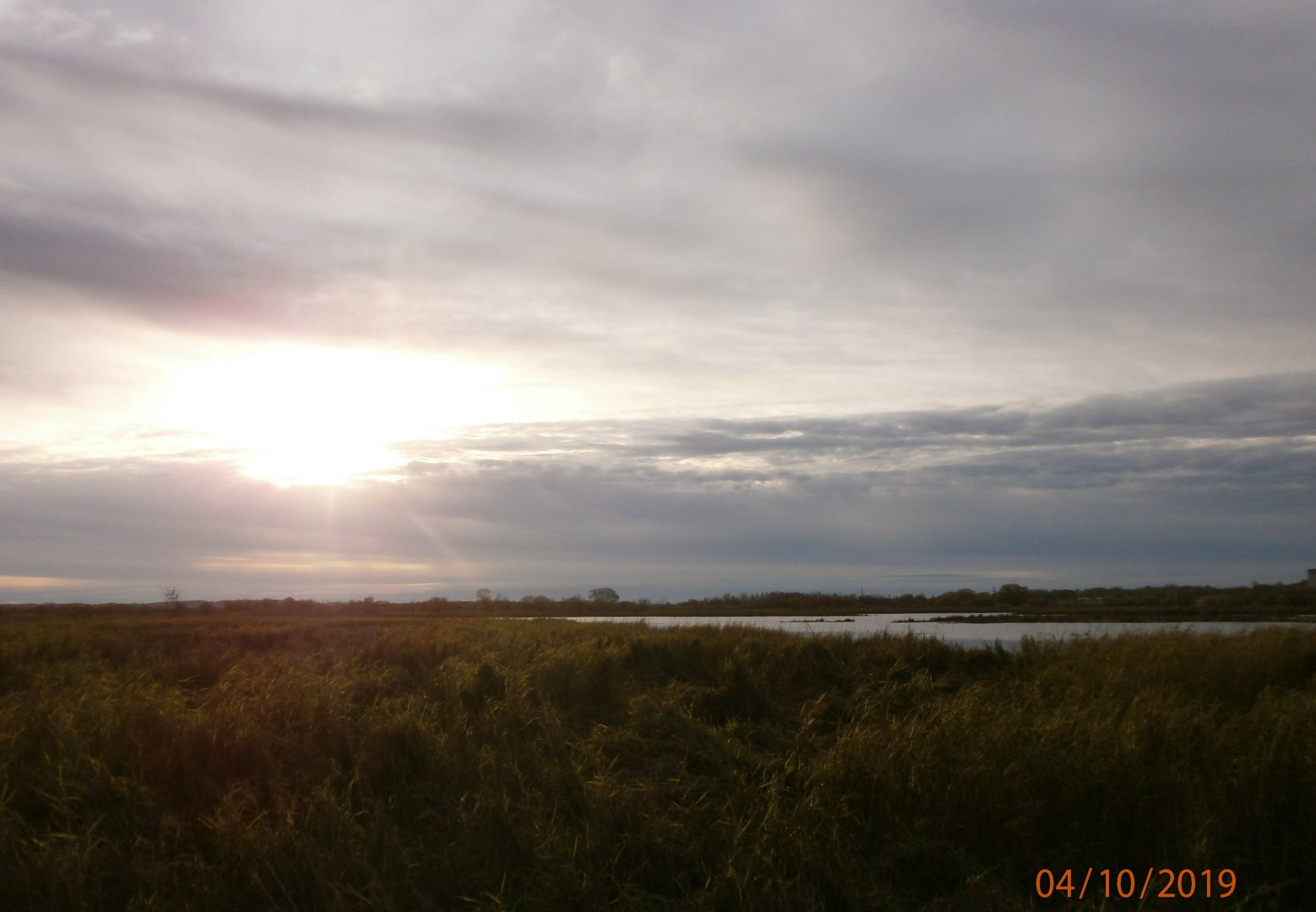 20191004 1.JPG