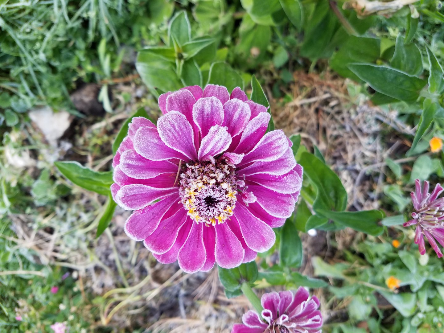 20191005_073206-1.jpg