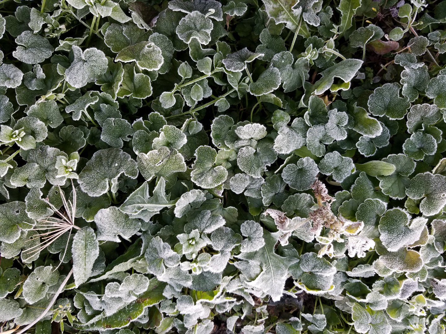 20191005_073228.jpg