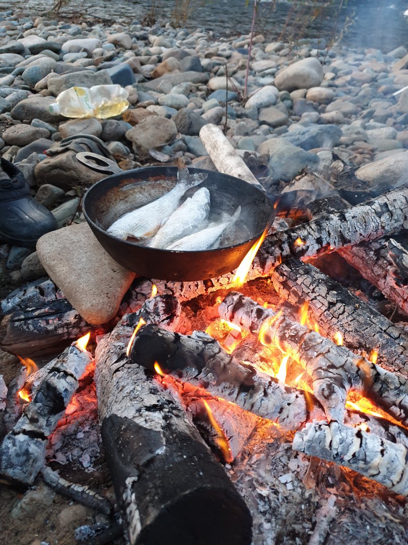 20191005_181717.jpg