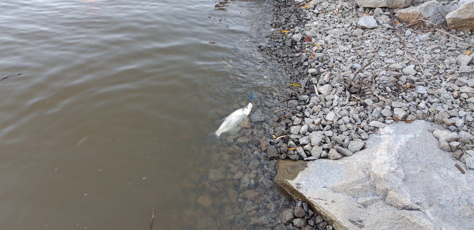 20191006_165404.jpg
