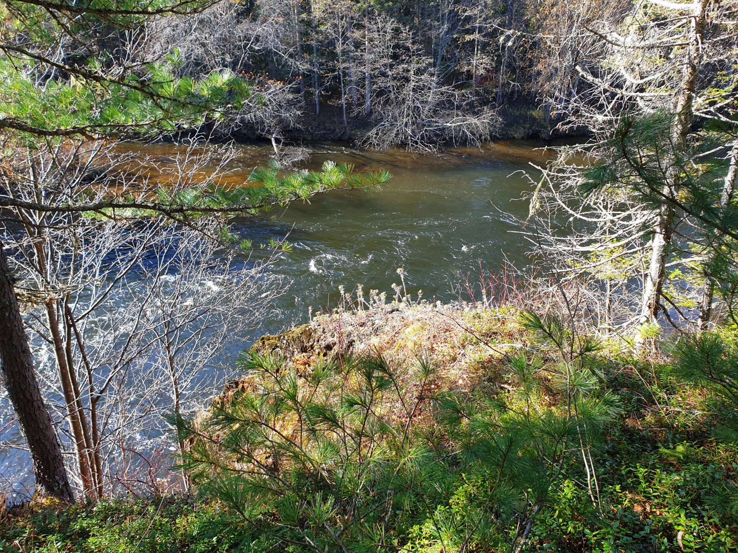 20191006_194044.jpg