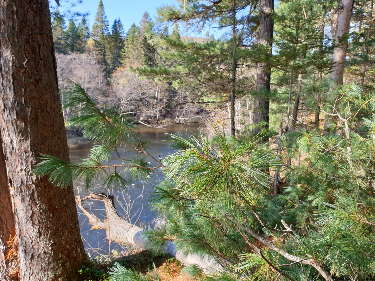 20191006_194323.jpg