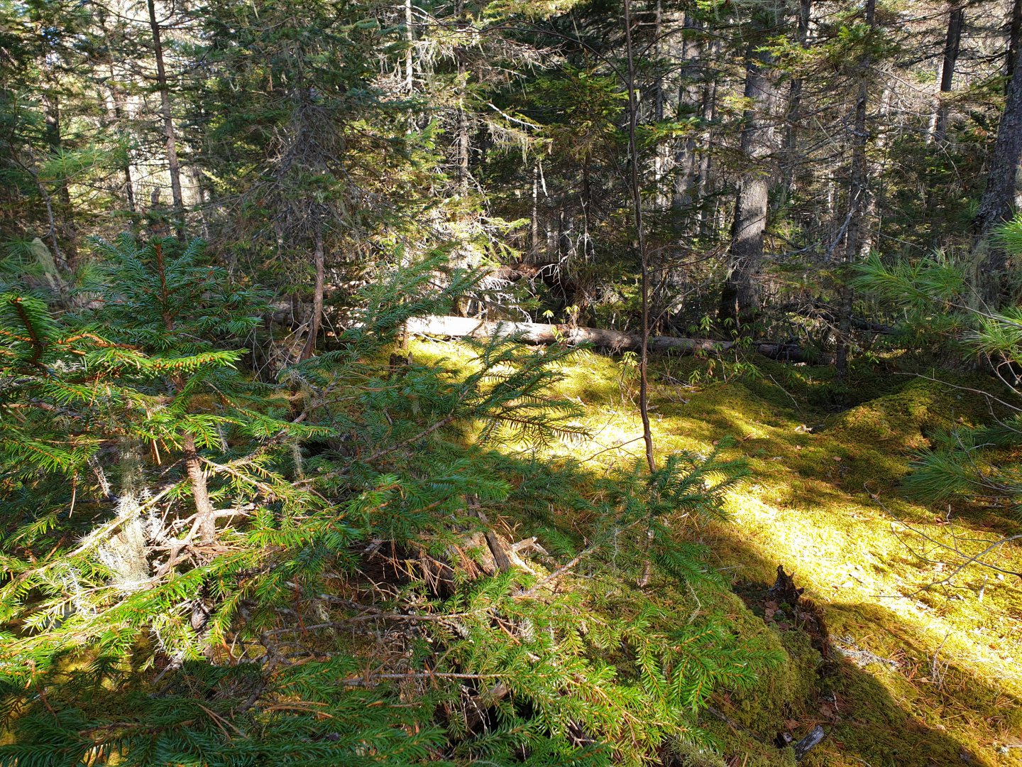 20191006_194334.jpg