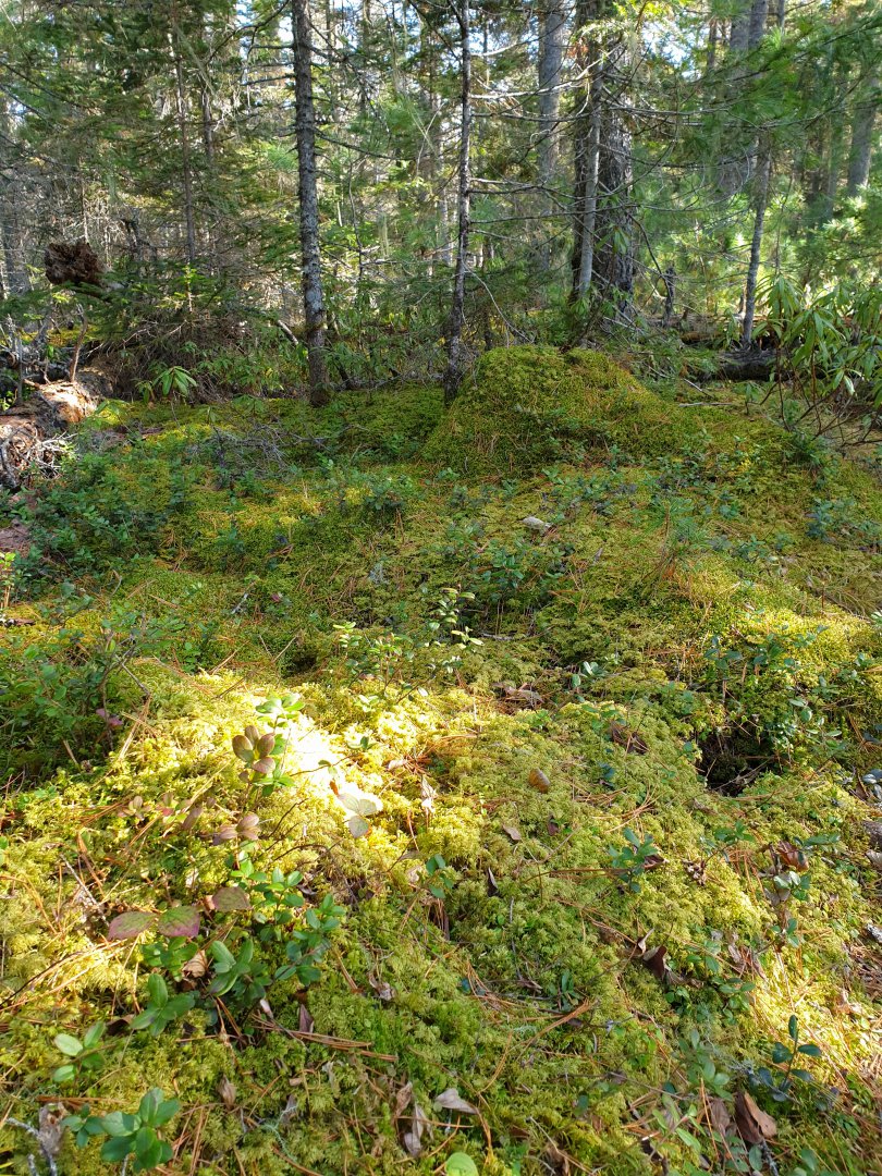 20191006_194354.jpg