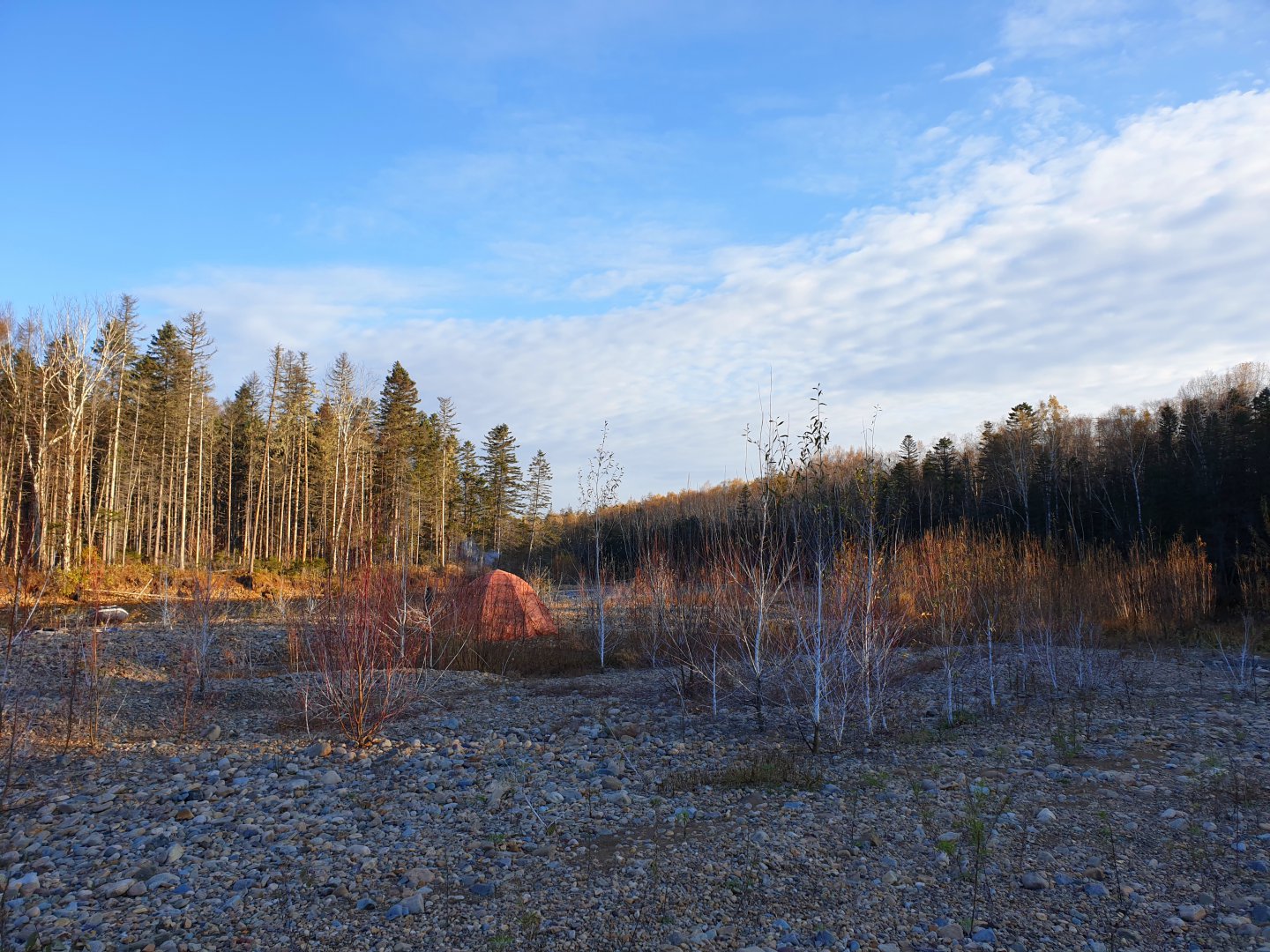 20191006_194518.jpg