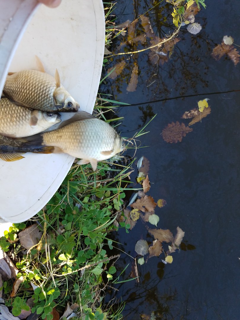 20191009_120526.jpg