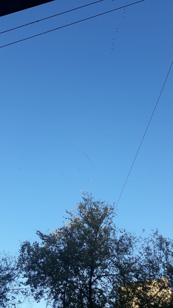 20191009_174555.jpg