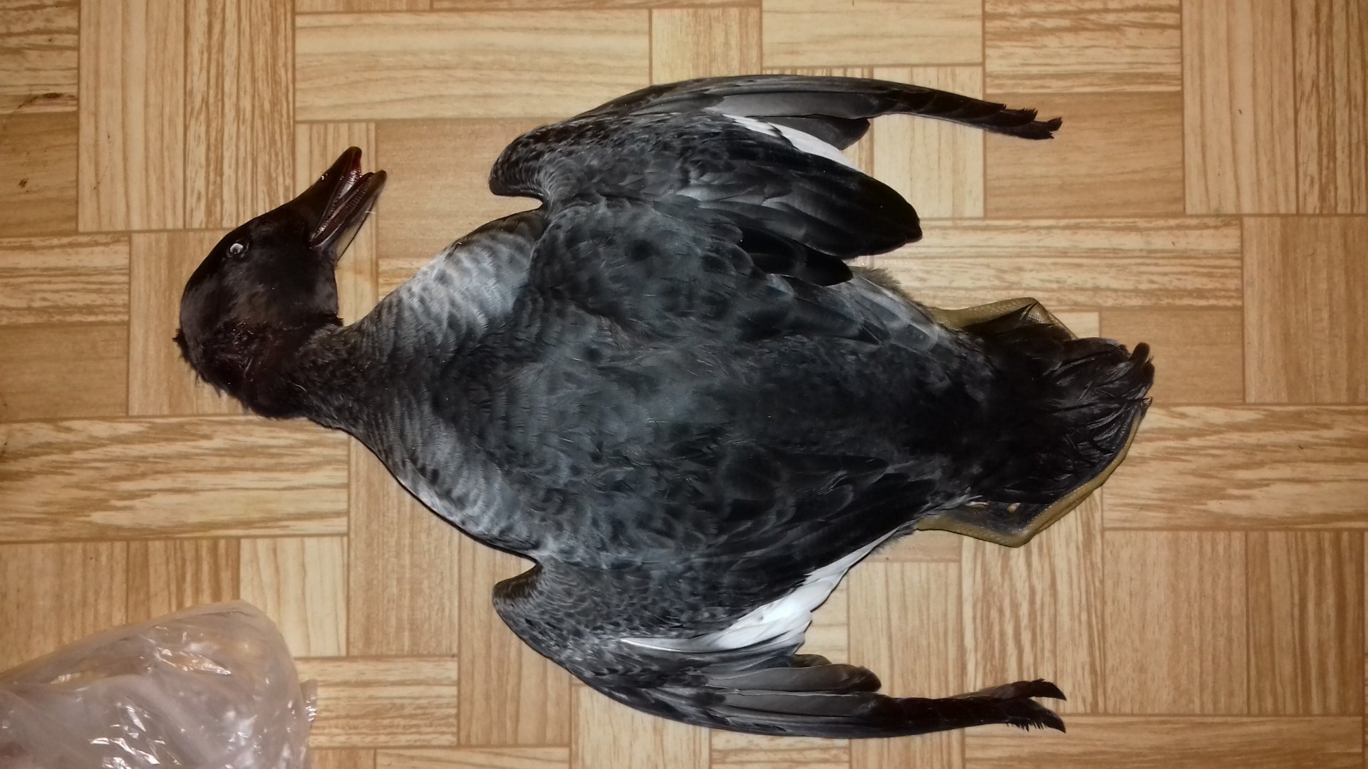20191009_181755.jpg