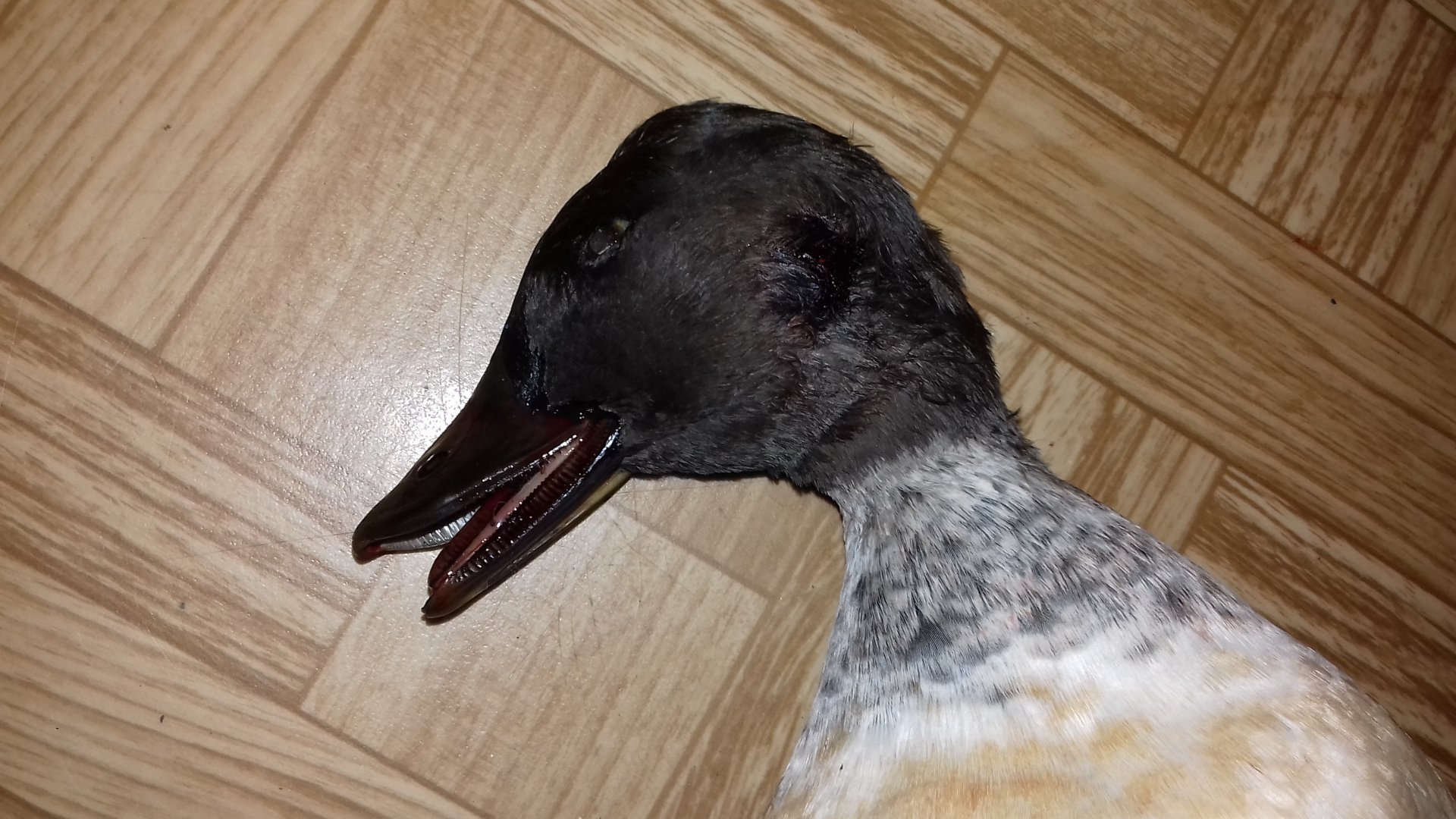 20191009_184153.jpg