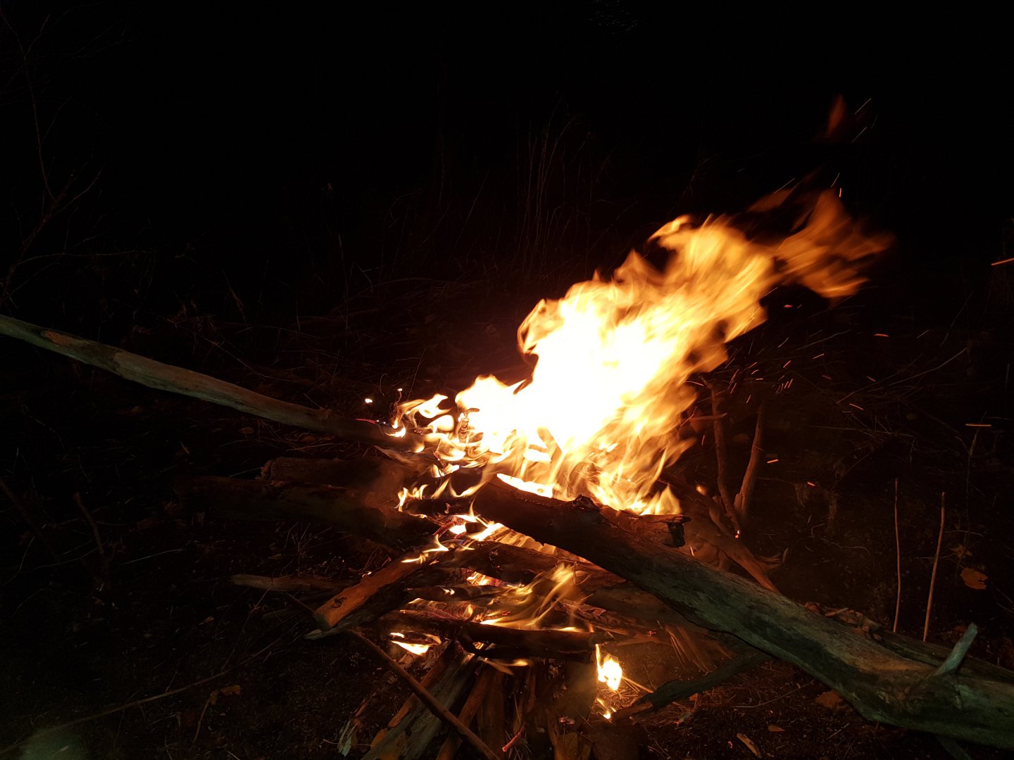 20191012_184404.jpg