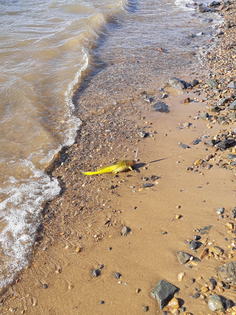 20191014_151905.jpg